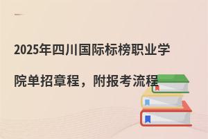 2025ĴʱְҵѧԺ³̣