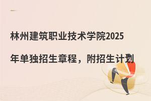 ݽְҵѧԺ2025굥³̣ƻ