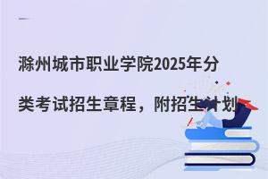 ݳְҵѧԺ2025࿼³̣ƻ