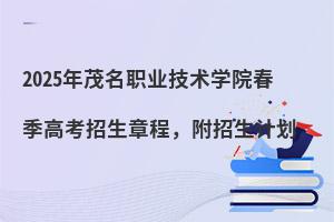 2025ïְҵѧԺ߿³̣ƻ