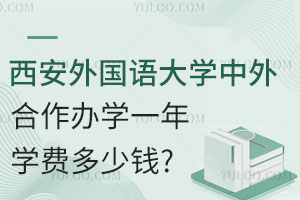 西安外国语大学中外合作办学一年学费多少钱？