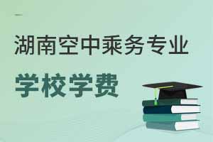 湖南空中乘務(wù)專業(yè)專科學(xué)校學(xué)費(fèi)匯總