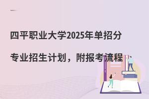 ƽְҵѧ2025굥зרҵƻ