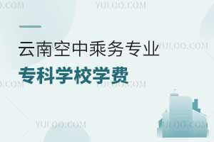 云南空中乘務(wù)專業(yè)專科學(xué)校學(xué)費(fèi)匯總