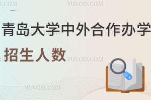 2025年青岛大学中外合作办学招生人数是多少？
