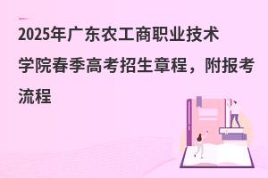 2025㶫ũְҵѧԺ߿³̣