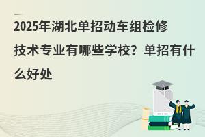 2025年湖北单招动车组检修技术专业有哪些学校?单招有什么好处
