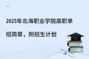 2025걱ְҵѧԺְм£ƻ