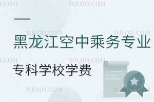 黑龍江空中乘務(wù)專業(yè)專科學(xué)校學(xué)費(fèi)匯總
