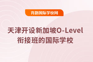 ¼O-LevelνӰĹѧУЩѧǶ٣