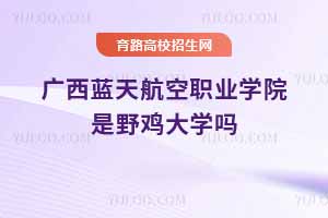 广西蓝天航空职业学院是野鸡大学吗？是正规学校吗？