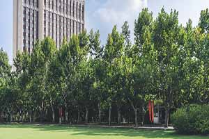 摄图网_500538904_大学校园环境(企业商用).jpg
