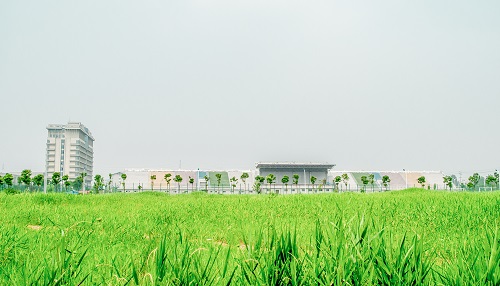 HQ(mo)WԺ(chung)WԺ