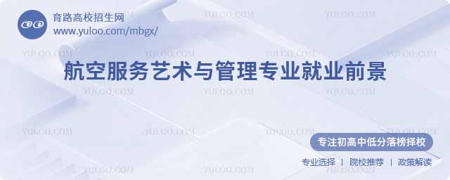 航空服务艺术与管理专业就业前景,未来十年热门岗位与薪资解析