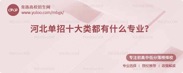 �ӱ�����ʮ���඼��ʲôרҵ��