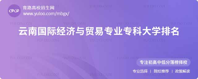 云南国际经济与贸易专业专科院校排名