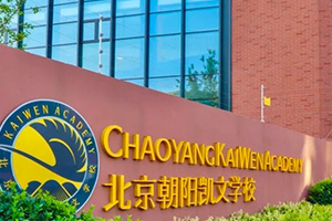 北京朝阳区凯文学校