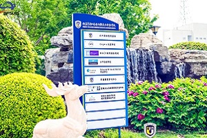 �����г���������ͬ�������ѧУ��������