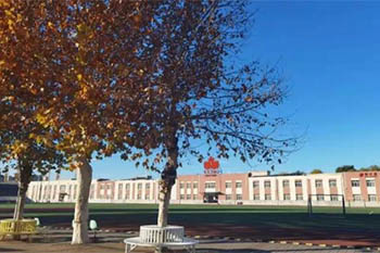 �������м�ѧУ