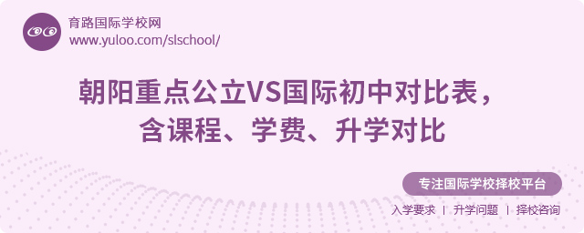 朝阳重点公立VS国际初中对比表