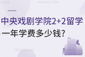 2025年中央戏剧学院2+2留学计划外招生一年学费多少钱？