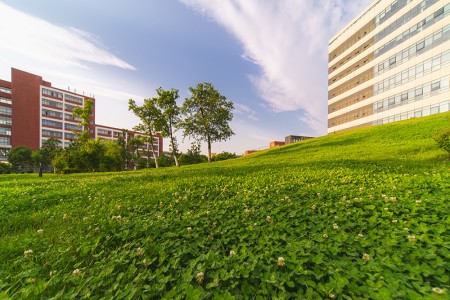 零基础英语进北京市私立汇佳学校小学跟得上吗，一文了解学校双语教学！