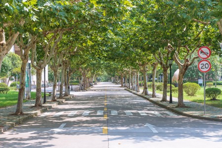2025北京海淀区尚丽外国语学校小学非京籍入学条件解读，附入学材料清单！