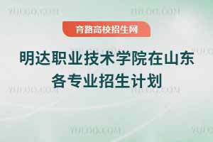2025年明达职业技术学院在山东各专业招生计划