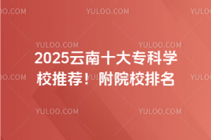 2025ʮרѧУƼԺУ