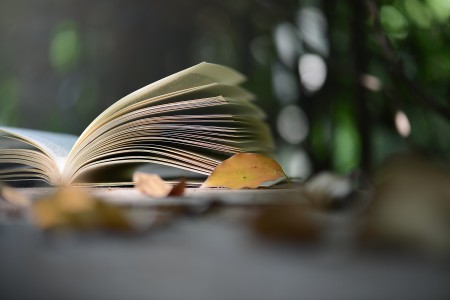 北京中加学校|通州华仁学校学费