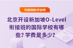 ¼O-LevelνӰĹѧУЩѧǶ٣