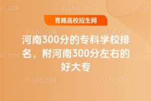 300ֵרѧУ300ҵĺôר