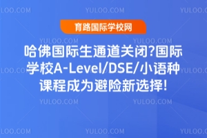 ͨرգѧУA-Level/DSE/Сֿγ̳Ϊѡ!