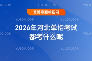 2026ӱпԶʲôأ