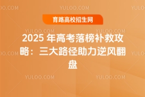 2025߿񲹾ȹԣ·緭