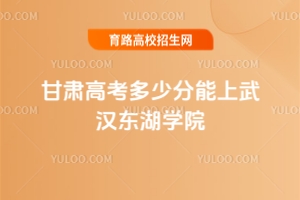2025甘肃高考多少分能上武汉东湖学院？附2024年录取分数线及位次