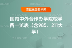 2025ѧԺУѧһ985211ѧ