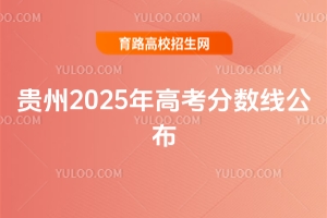 2025߿߹