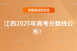 2025߿߹