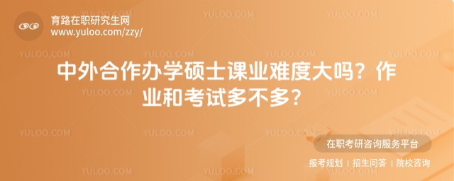 中外合作办学硕士课业