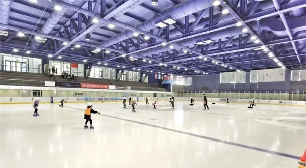 朝阳凯文开放日