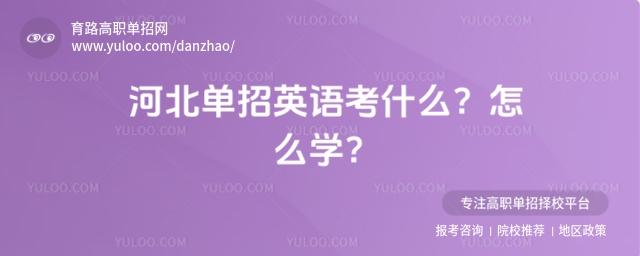 河北单招英语考什么?怎么学?