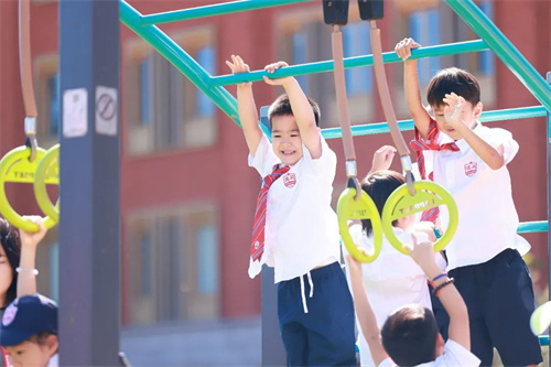 ��������ѧУ�γ�˵����