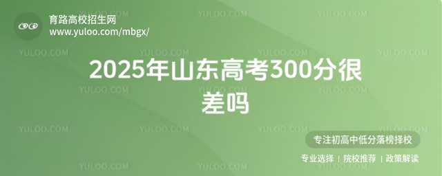 ɽ߿300Ĳ