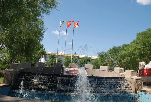 �����м�ѧУ��������