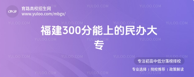 2025긣300ϵרЩ