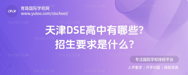 天津DSE高中招生要求