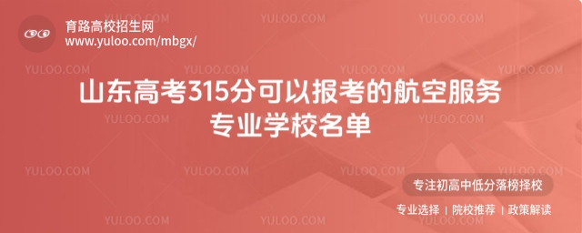 山东高考315分航空服务专业学校有哪些?
