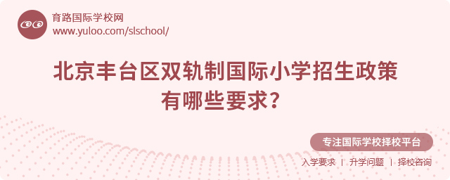 2025年北京丰台区双轨制国际小学招生政策
