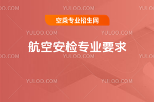 航空安檢專業(yè)要求